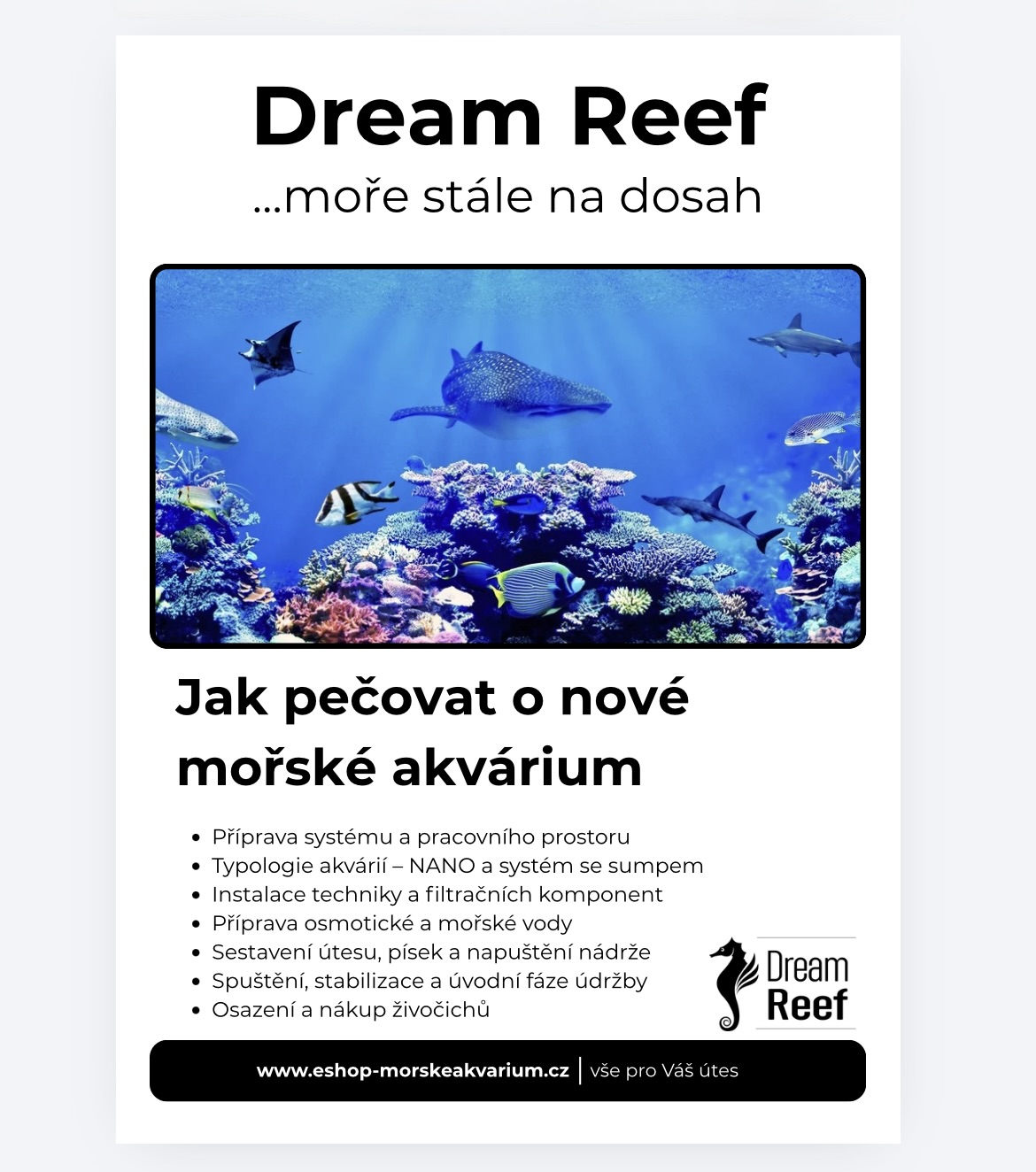 E-Book Jak pečovat o nové mořské akvárium