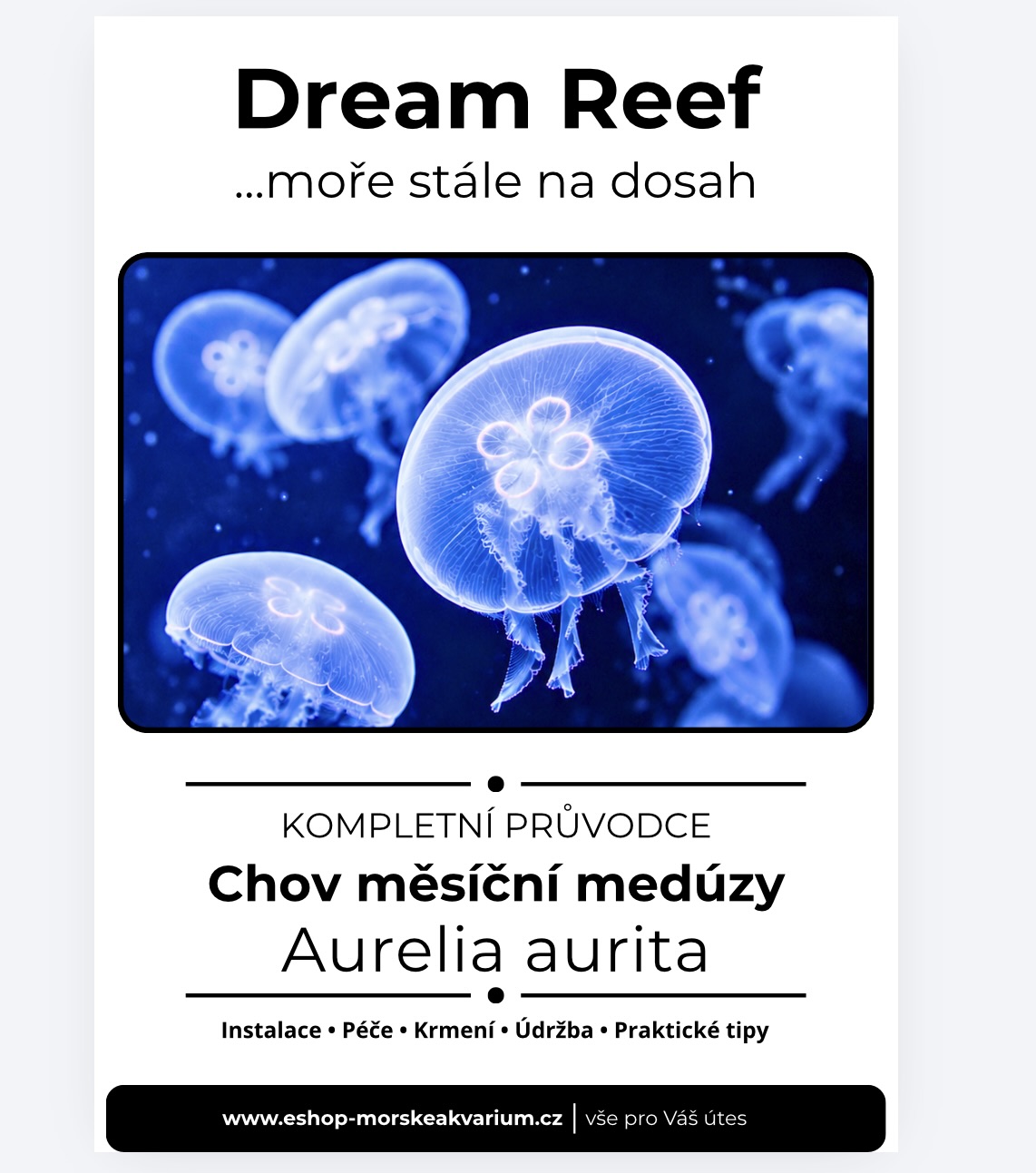 E-Book Kompletní průvodce - Chov měsíční medúzy – Aurelia aurita