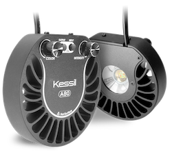 Kessil A80 Tuna Blue (15W)