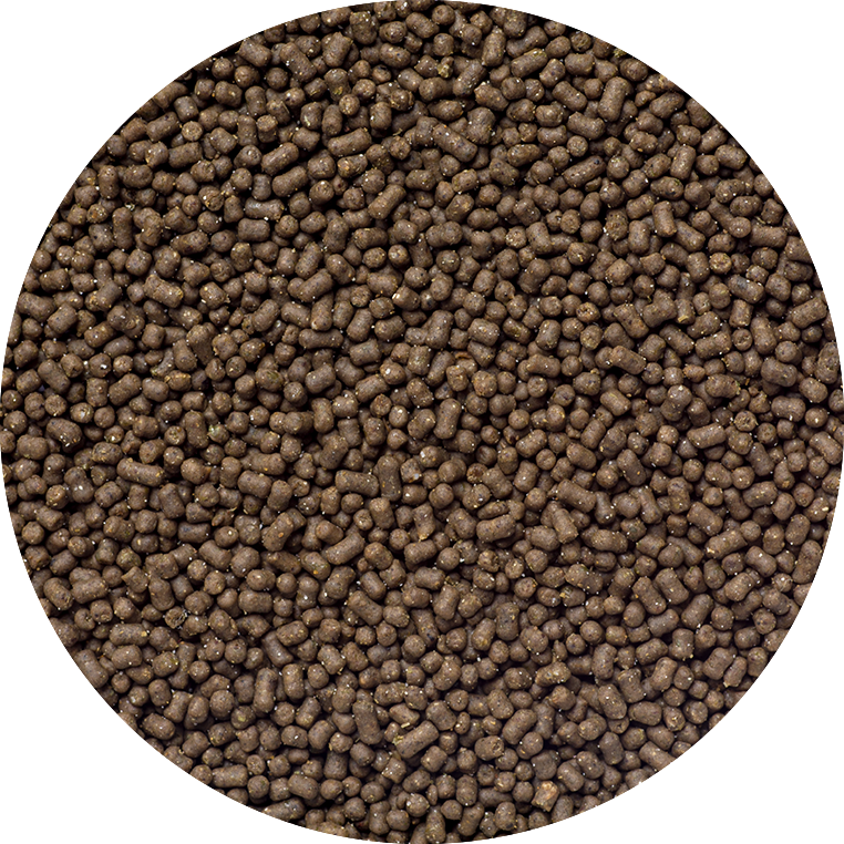 AF Algae Feed, 120g (~2,5mm)