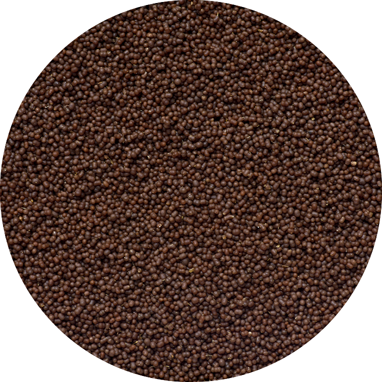 AF Anthias Pro Feed, 120g (~2mm)