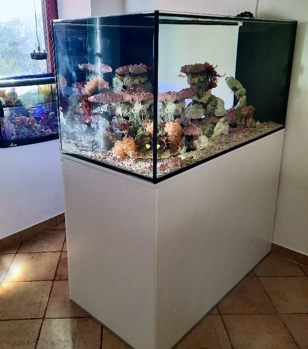 DreamReefer poloostrovní 120 × 60 × 60 cm – Kompletní set poloostrovního mořského akvária