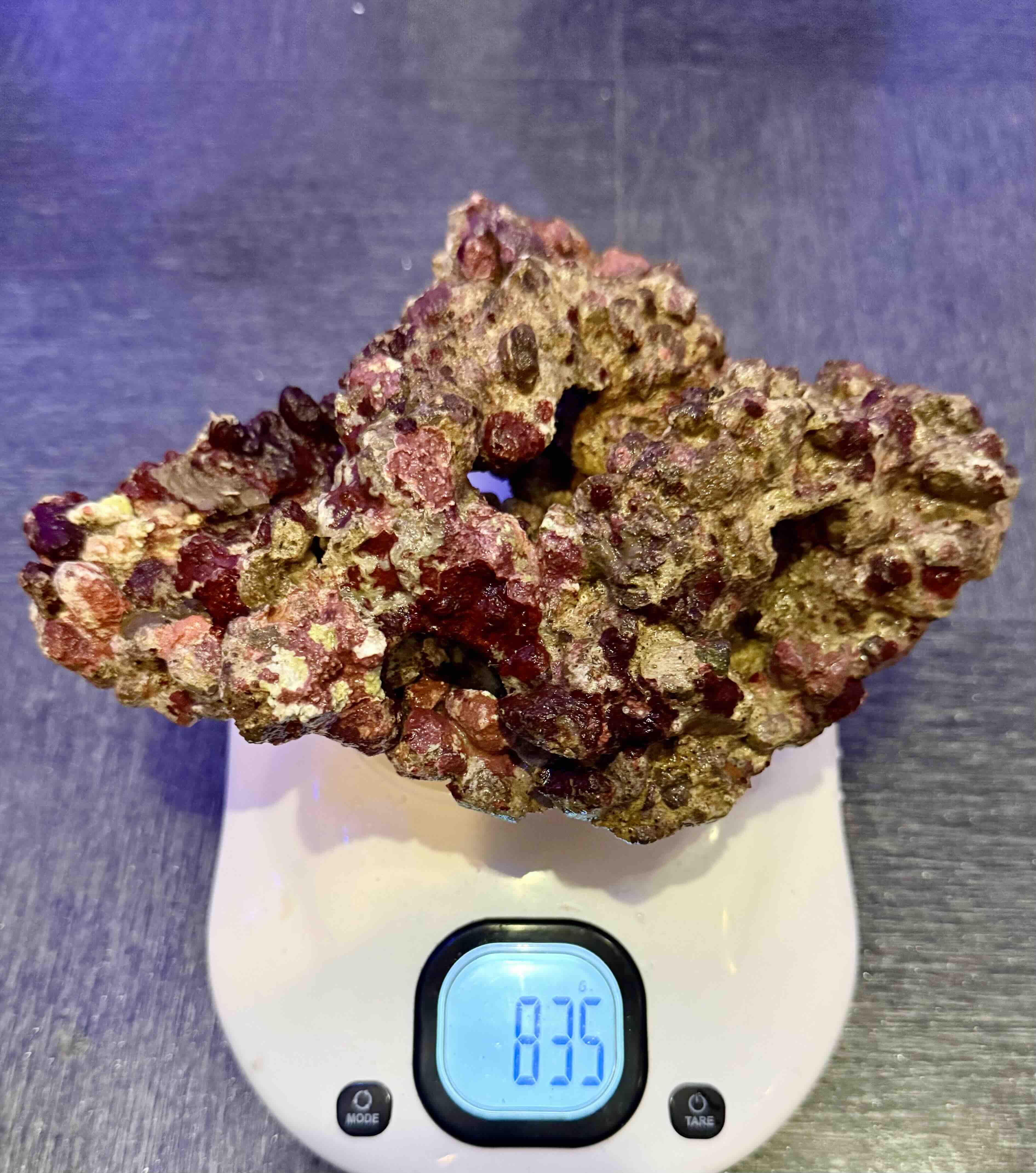 Živý kámen Indonésie, cena/kg