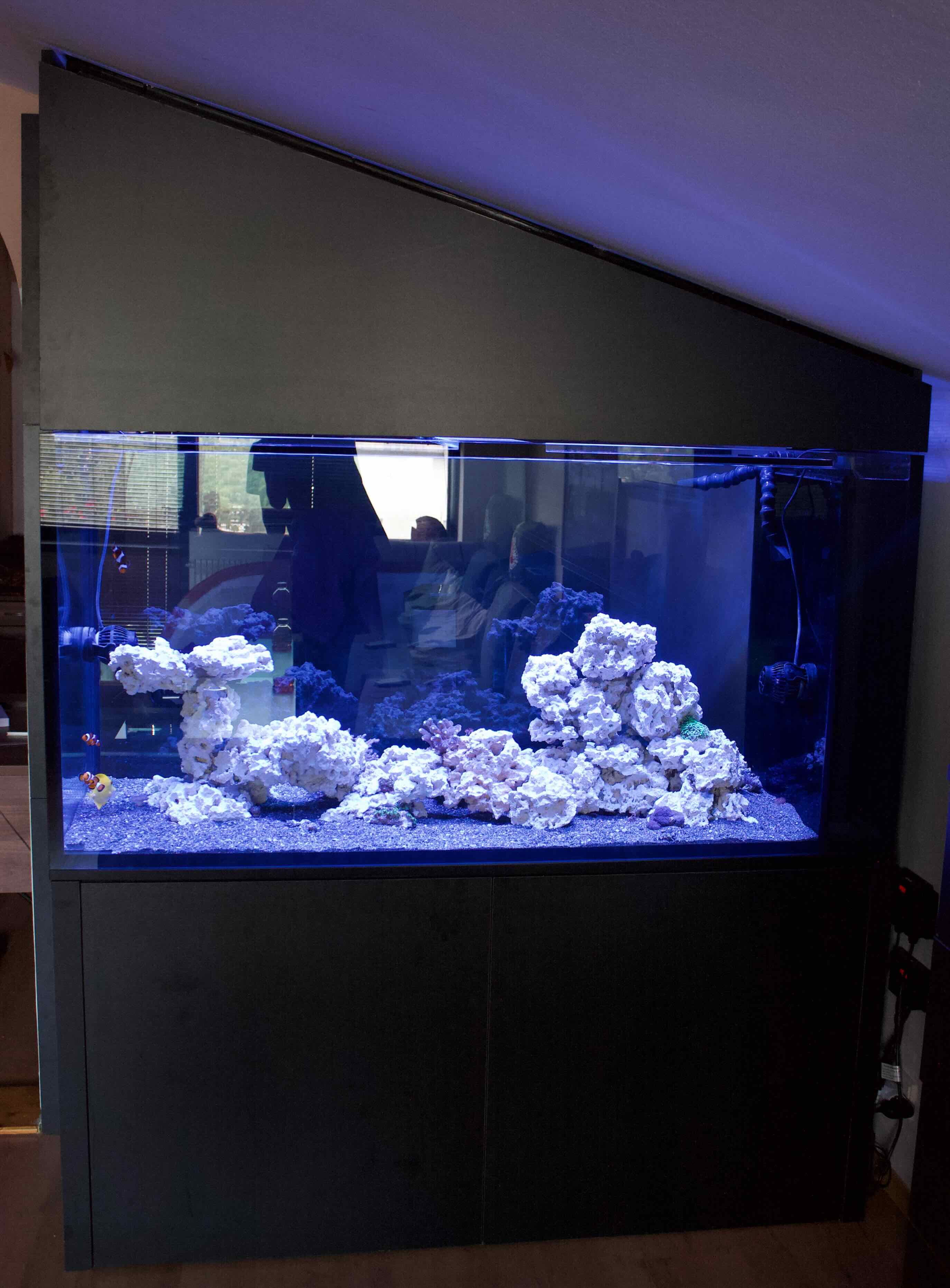 DreamReefer 180 × 65 × 75 cm – Kompletní set mořského akvária