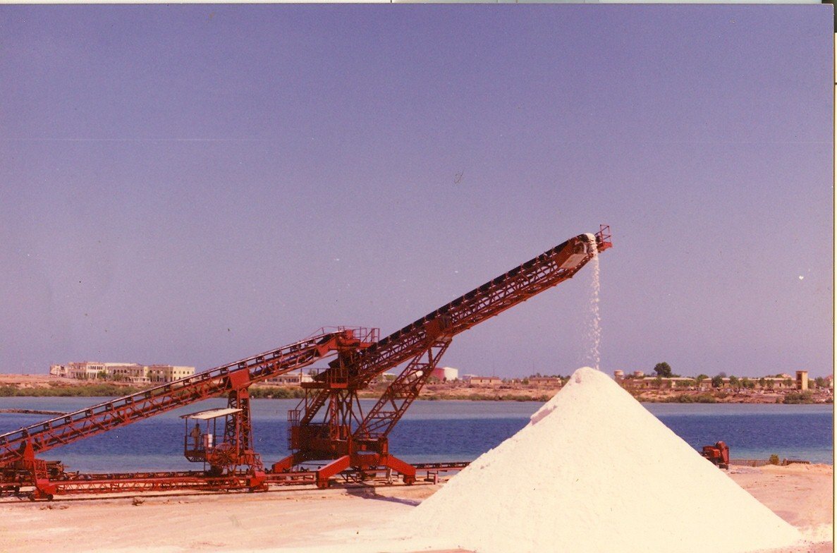 Mořská sůl Red Sea coral pro 25 kg pytel