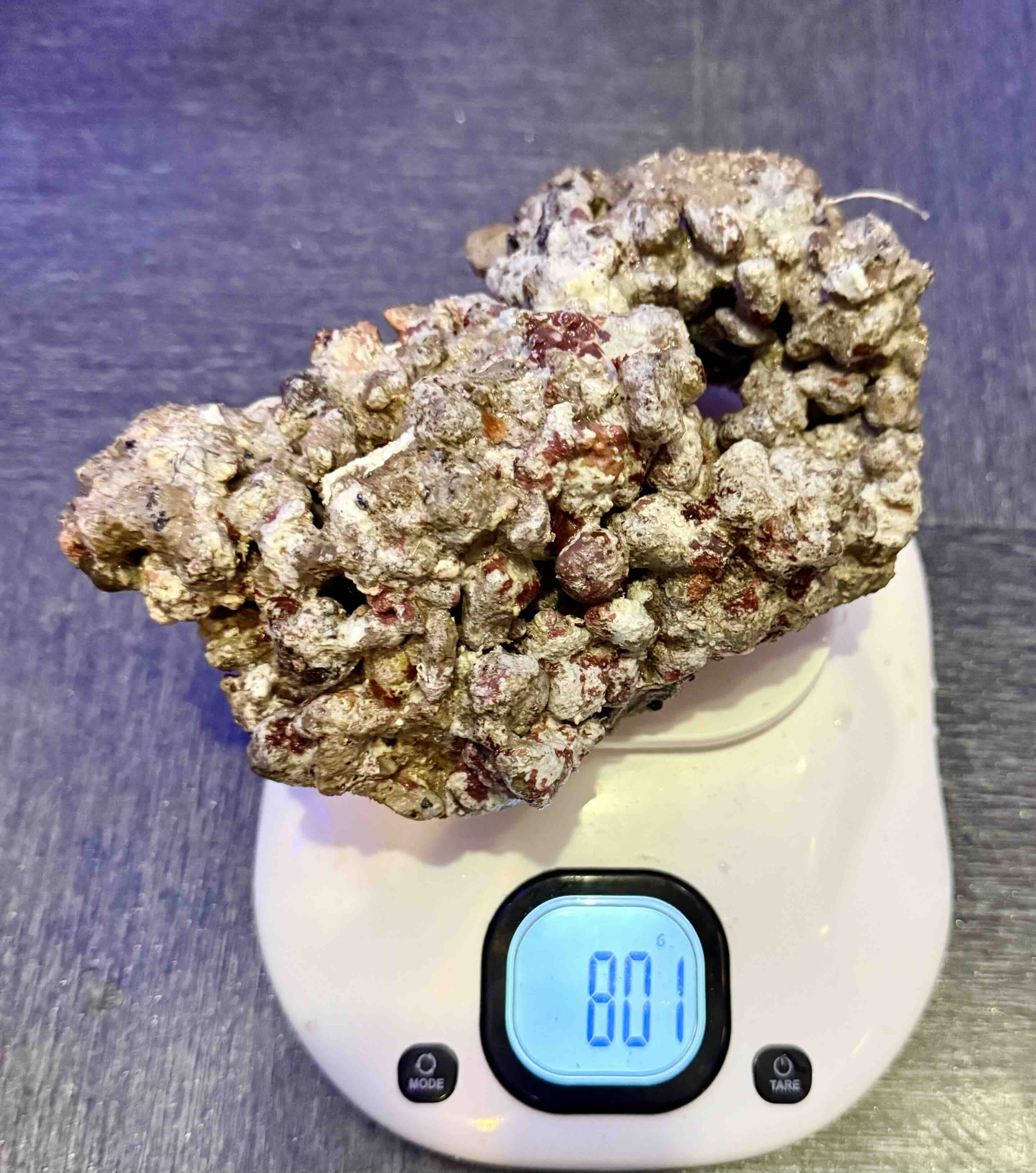 Živý kámen Indonésie, cena/kg