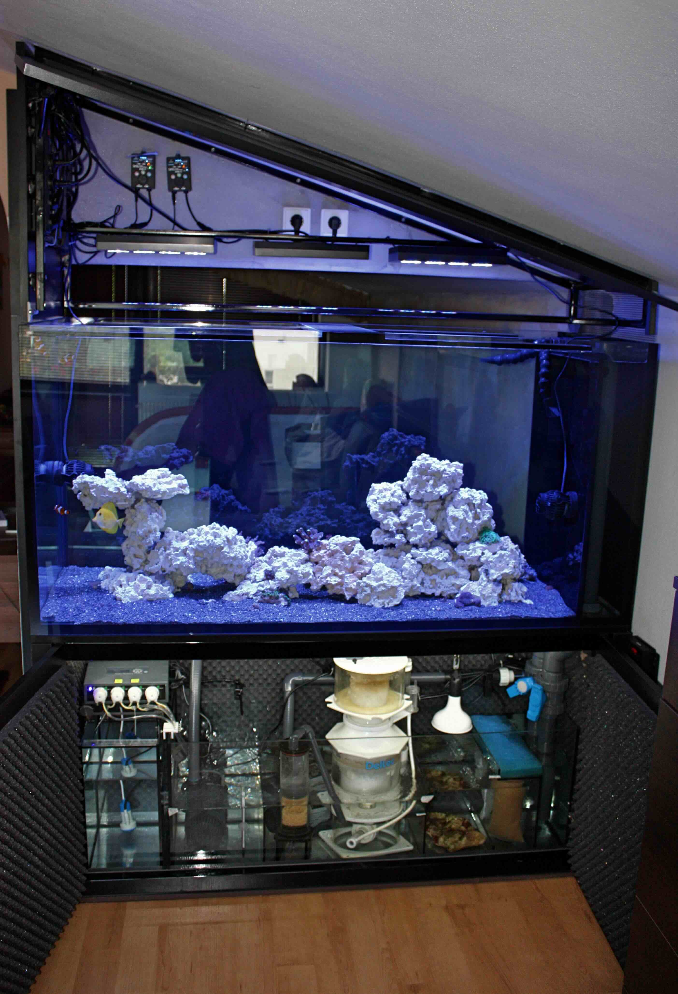 DreamReefer 180 × 65 × 75 cm – Kompletní set mořského akvária