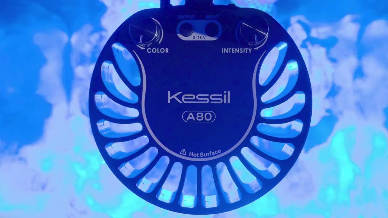 Kessil A80 Tuna Blue (15W)