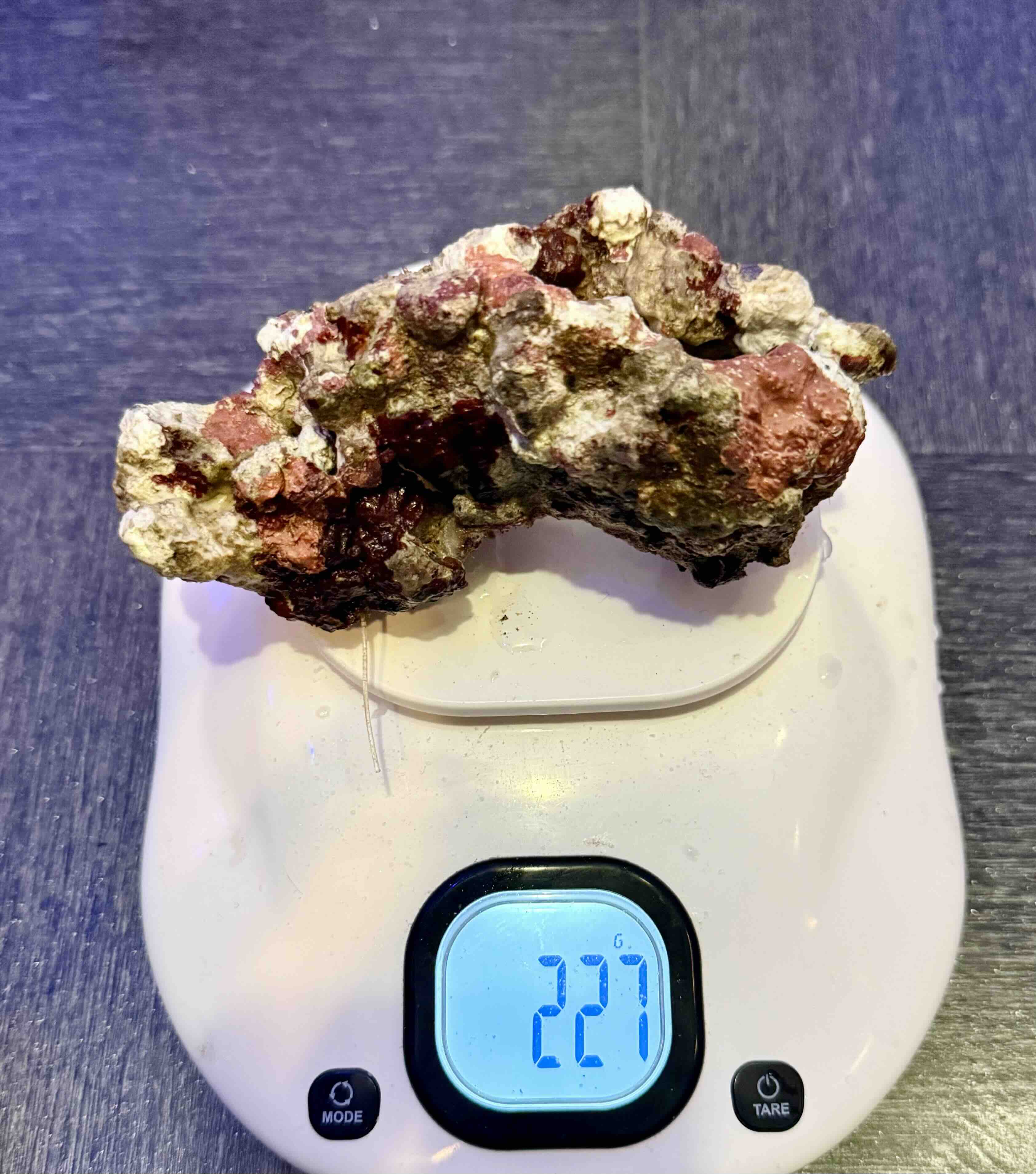 Živý kámen Indonésie, cena/kg