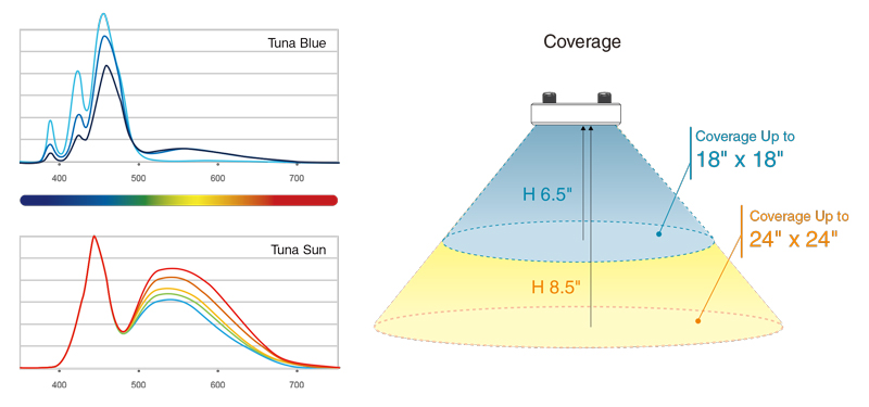 Kessil A80 Tuna Blue (15W)