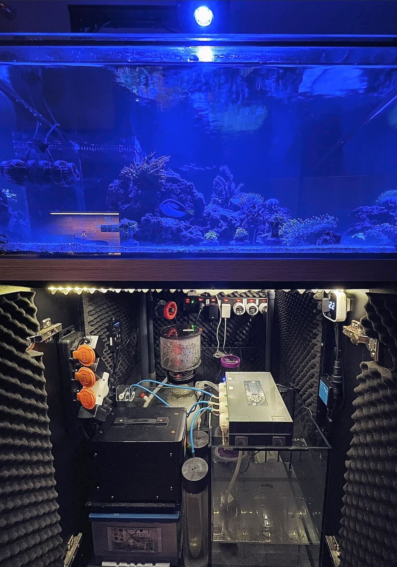 DreamReefer 80 × 50 × 50 cm – Kompletní set mořského akvária