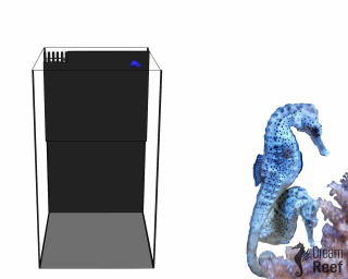 Mořské akvárium pro mořské koníky 100 litrů