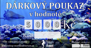 Dárkový poukaz 5000,-